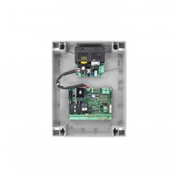 BRAINY24 PLUS